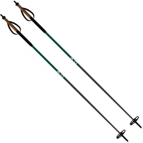 Bâtons de ski de fond BC Carbon